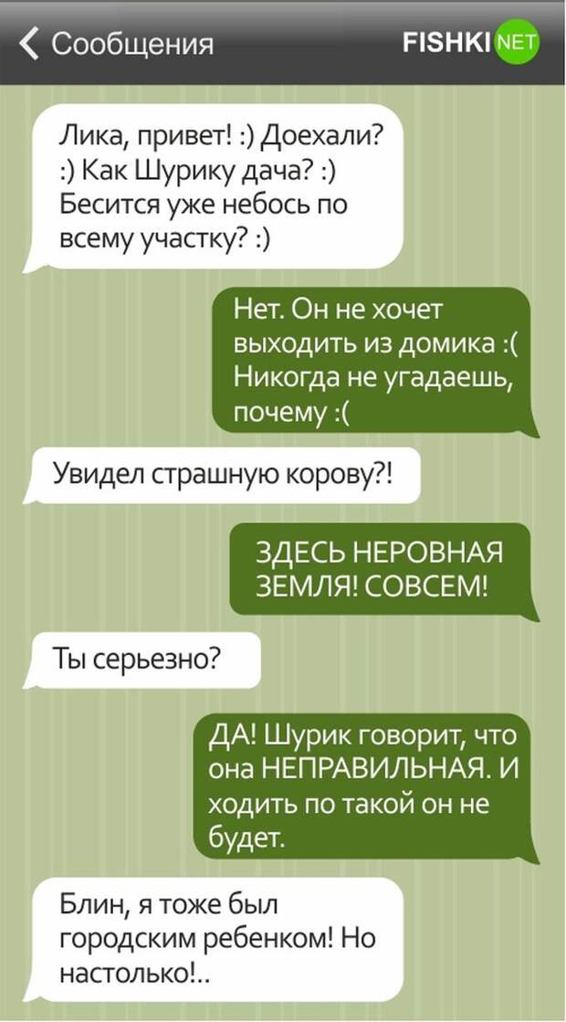 15 смешных СМС о дачниках дача, дачник, смс, юмор