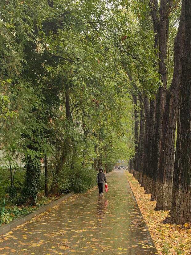 Осень шепчет дождём