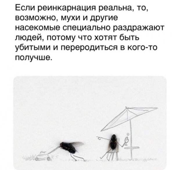 Подборка забавных, интересных и философских мыслей пользователей