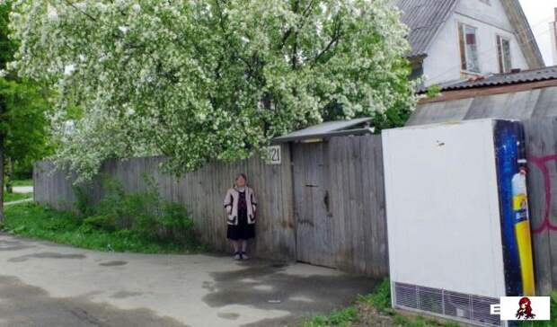 www.vsyako.net