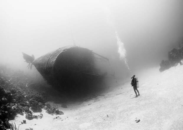 national-geographic-photo-of-the-day-internet-favorites-2015-35__880