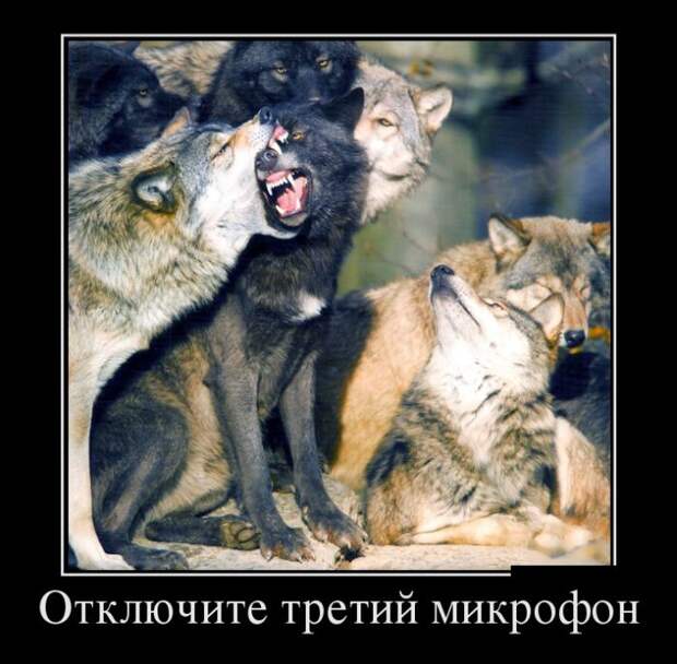 Демотиваторы (30 фото) Демотиваторы (30 фото)