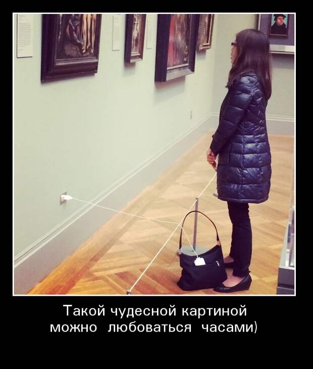 Демотиваторы демотиваторы, животные, прикол, юмор