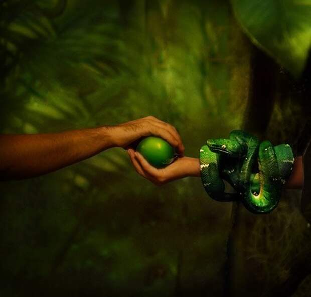 Как искупить грехи