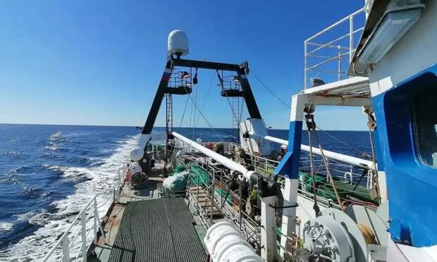 130 тонн свежей рыбы доставили в порт Архангельска: на прилавки поступят треска, пикша и камбала