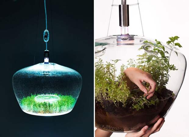 green-design-ideas-inspired-by-nature-2-15-2