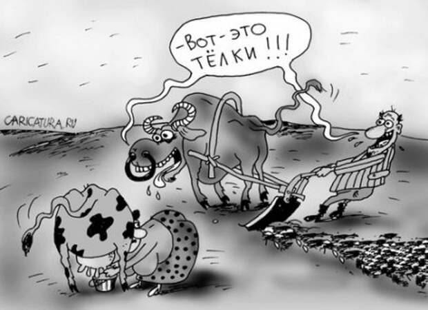 Карикатуры ржачные и прикольные.