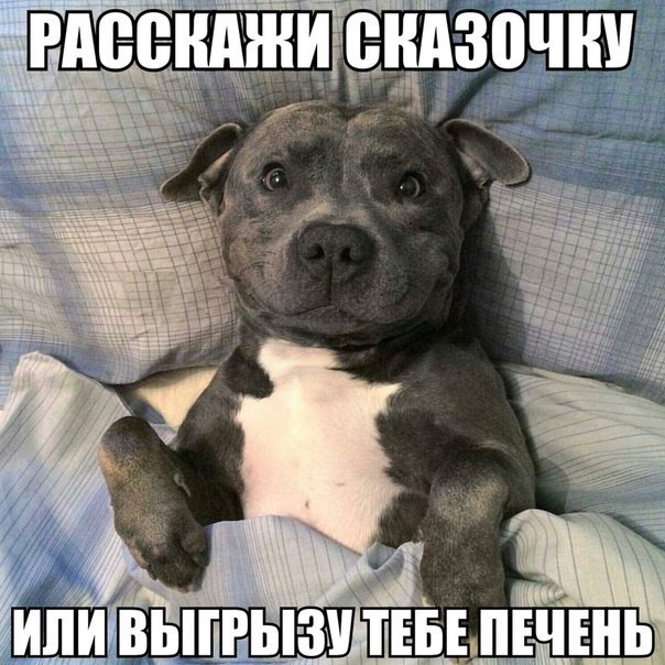 Смешные картинки с надписями прикол, юмор