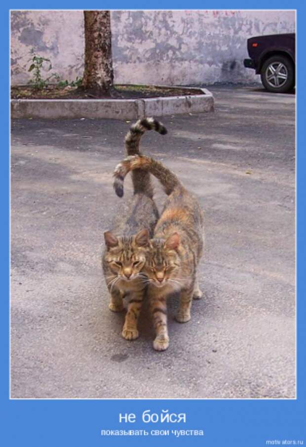 О ней, о любви мотиваторы...