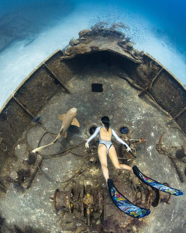 Андре Масгроув (André Musgrove) и его невероятные подводные снимки
