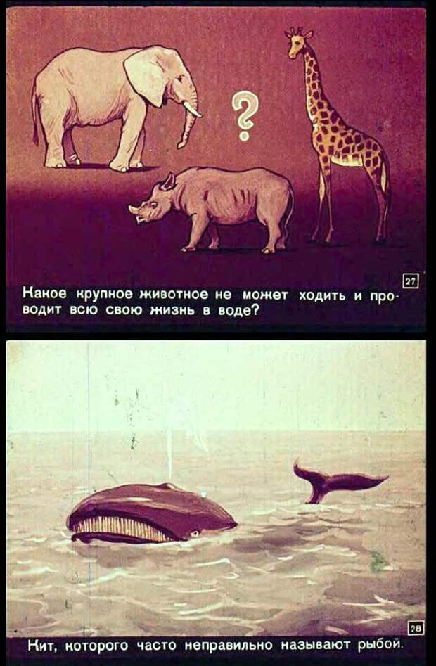 Географические загадки. СССР 1962 год Географические загадки, ссср