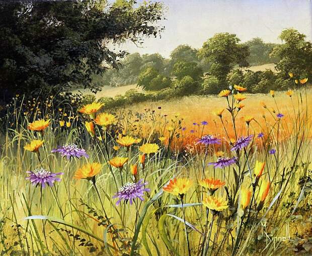 Цветы луговые, художница Mary Dipnall