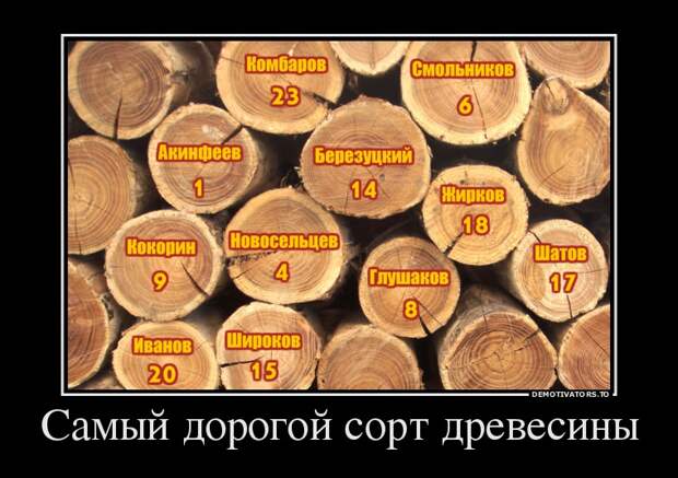 Пятничная подборка демотиваторов демотиватор, юмор