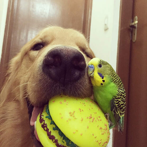 instagram.com