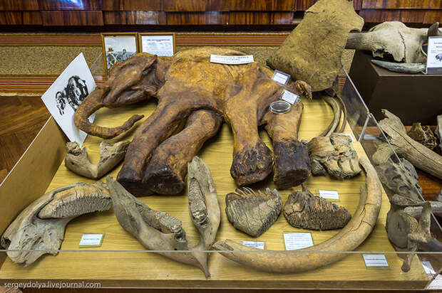 Солнечный Магадан