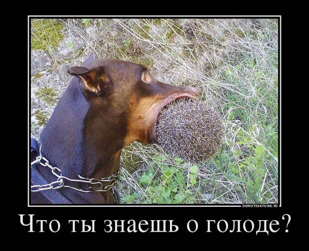 Демотиваторы Демотиваторы демотиваторы, юмор