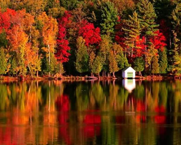 autumn_leaves3