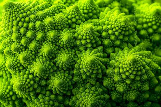 Брокколи Romanesco