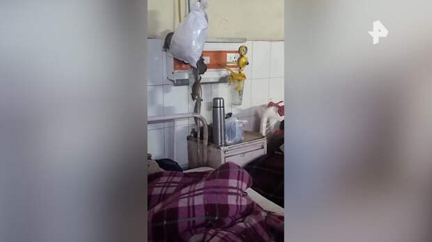 Стая крыс захватила палату с пациентами в больнице Индии