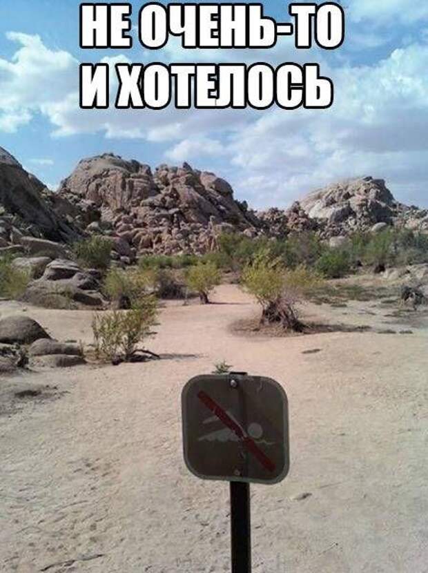 Прикольные фотомемы для хорошего настроения (31 шт)