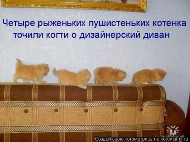 Подборка Котоматриц 2010 - Выпуск 28
