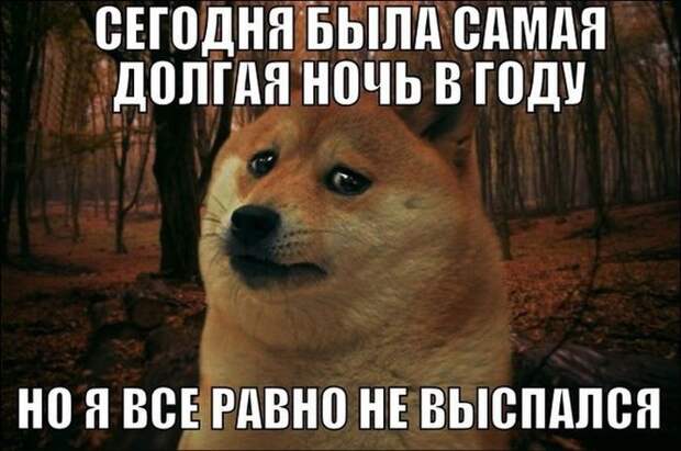 Прикольные картинки. Дневной выпуск (50 фото)