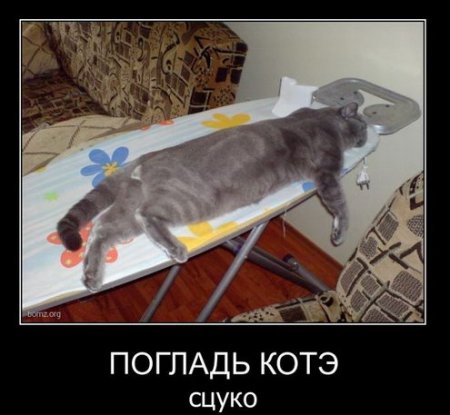 Демотиваторы смешарики и приколы в черных рамках.