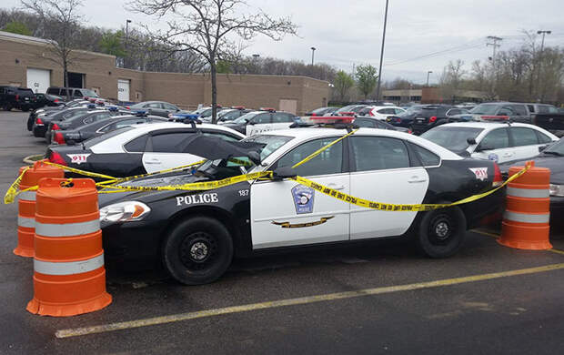 police-bird-umbrella-dove-nest-car-hood-parma-1
