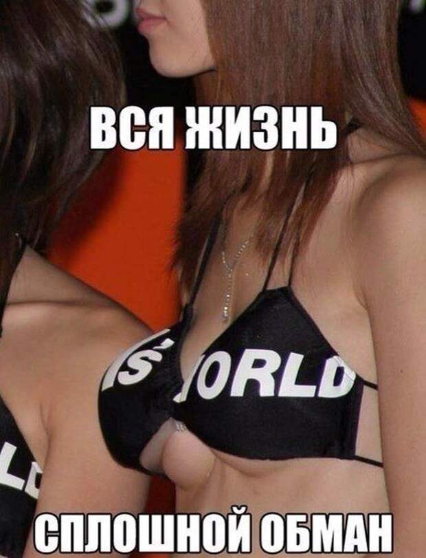 Смешные картинки с подписями катинки, прикол, юмор