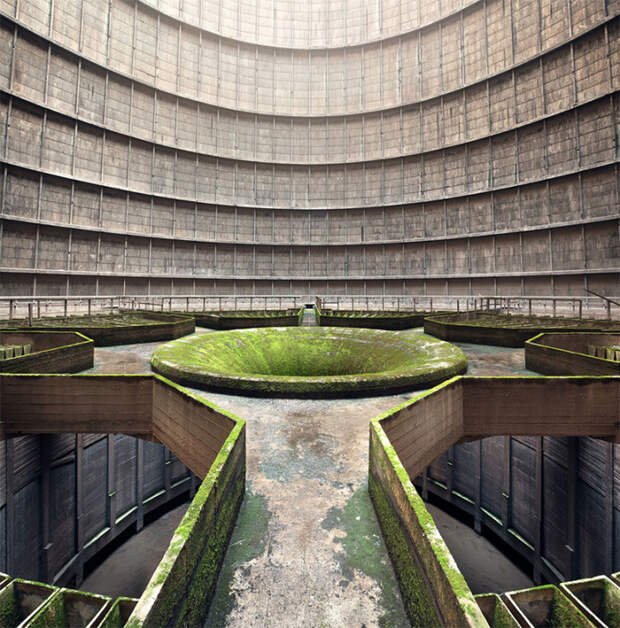 Sony World Photography Awards градинер