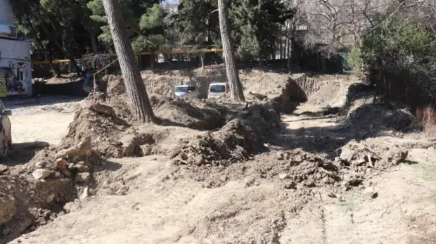 В Ялте держат на контроле вопрос вырубки деревьев