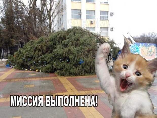 Свежие короткие анекдоты (11 шт)