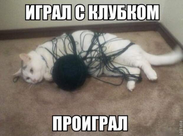 Прикольные фотомемы для хорошего настроения (35 шт)