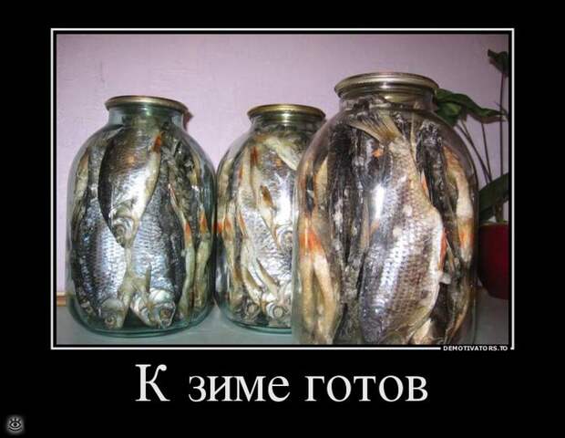 Счастливо жить не запретишь! 1