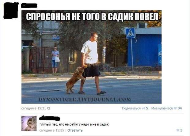 Улётные комментарии из соц.сетей Улётные комментарии из соц.сетей