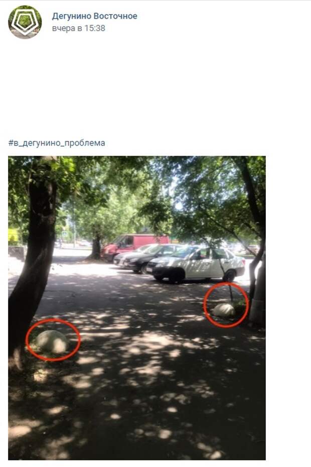 Полусферы на Дубнинской «бегают» по двору