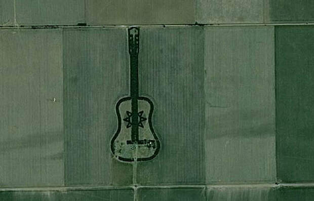 Лес в форме гитары "Лесная гитара" (Forest Guitar), Аргентина