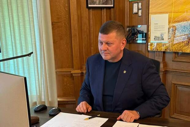 📰 Залужный назвал причину неспособности ВСУ перейти в наступление