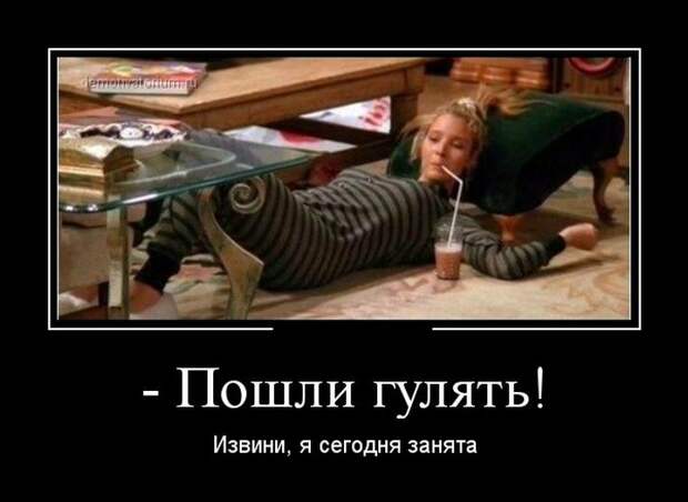 Демотиваторы (30 фото)