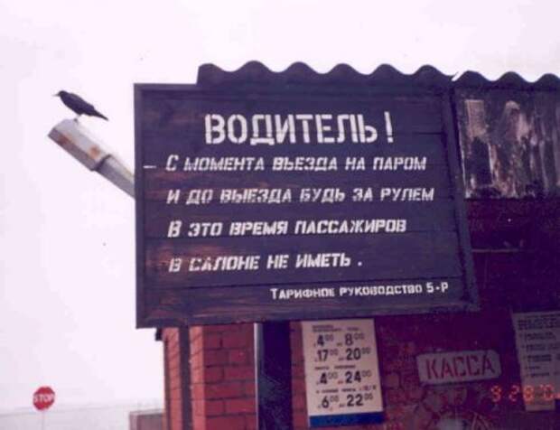 Хорошему человеку только прикольные фото.