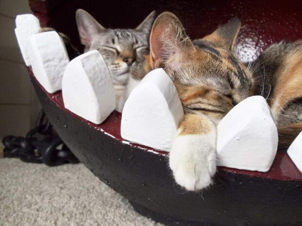 Кровать для кошки в стиле монстра из Марио