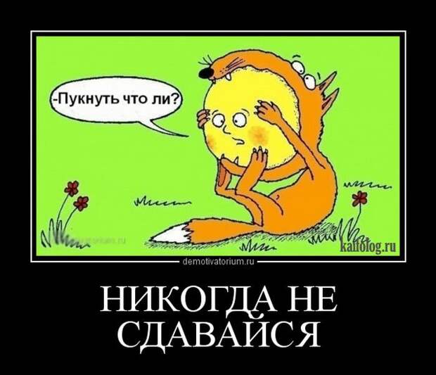 Прикольные демотиваторы про Россию - 232 (45 демок)