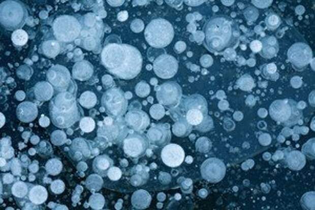 bio-nanotechnology-programmable-materials-1