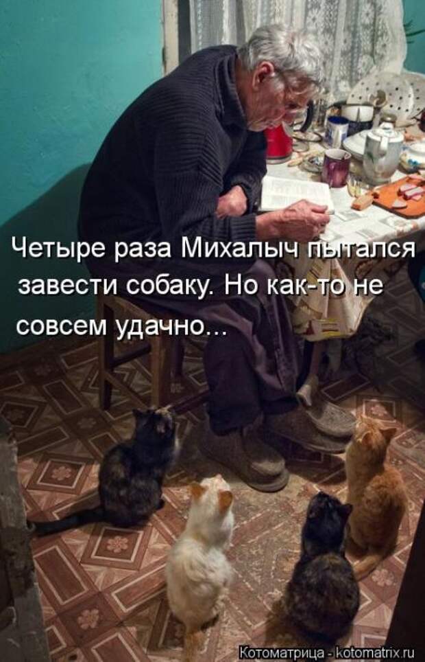 Котоматрицы (картинки с надписями)