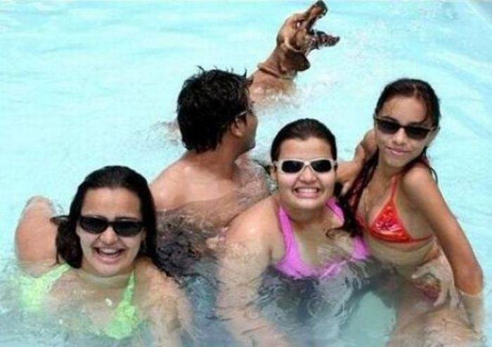 Животные фотобомбы - прикольные зверьки Животные фотобомбы - прикольные зверьки
