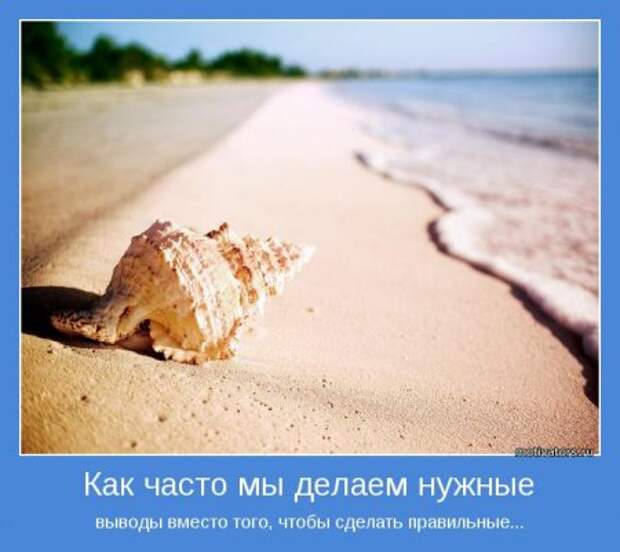 Цитаты о жизни прикольные, мотиваторы картинки.