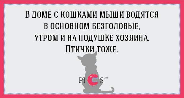 catowner02