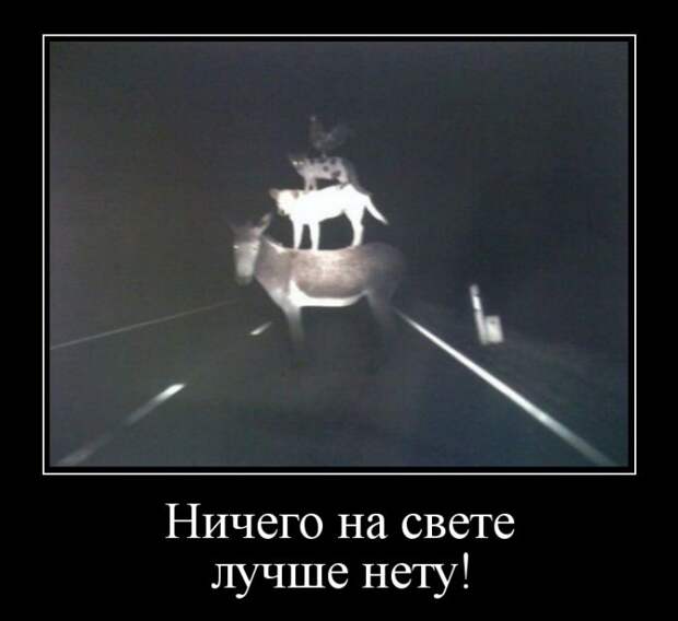 Демотиваторы (30 фото)