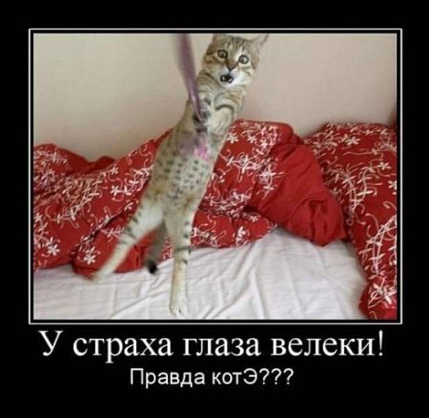 Демки, только прикольные.