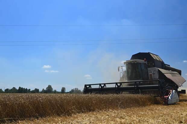 В 2025 году Адыгея показала высокие результаты в сельском хозяйстве